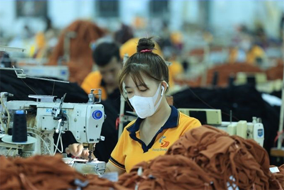 May mặc 7 May mặc may mac demo