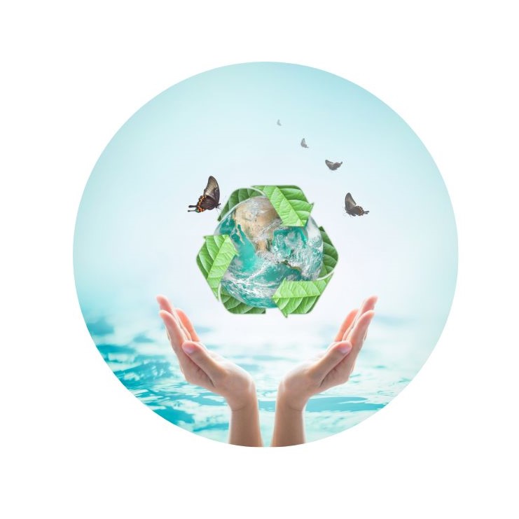 Ứng dụng công nghệ an toàn sinh học tại Trường Dương