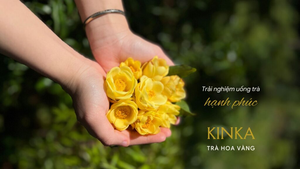 Trà hoa vàng Gia Lai