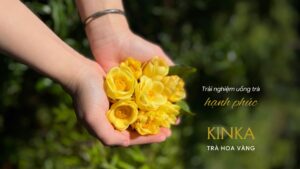 Trà Hoa Vàng (Camellia flava) tại Việt Nam 2 Trà hoa vàng - Trải nghiệm uống trà hạnh phúc