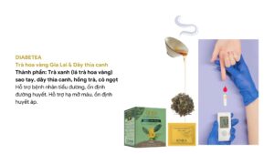 Bệnh tiểu đường loại 1 ảnh hưởng đến giấc ngủ 9 Trà hoa vàng Gia Lai, thương hiệu KINKA