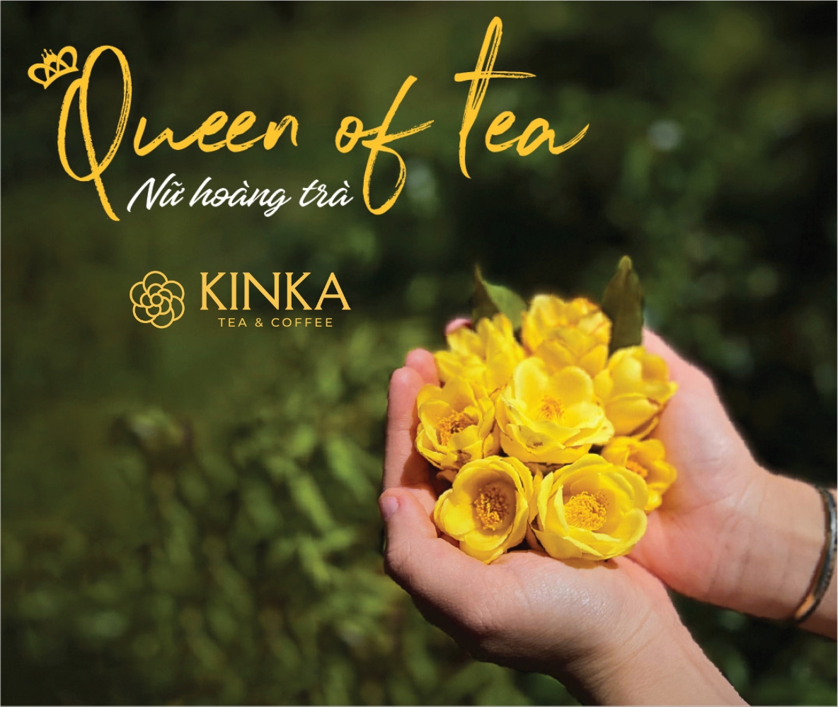 Trà hoa vàng Gia Lai - KINKA