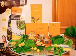 Hội thảo Trà Hoa Vàng - Dược liệu quý chăm sóc sức khỏe và sắc đẹp thành công tốt đẹp 2 Hội thảo Trà Hoa Vàng - Dược liệu quý chăm sóc sức khỏe và sắc đẹp thành công tốt đẹp Tra hoa vang KINKA 1