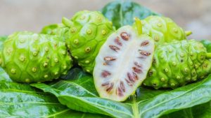 3 bước đơn giản để pha một ly trà nhàu thơm ngon 7 3 bước đơn giản để pha một ly trà nhàu thơm ngon cach lam tra trai nhau don gian tot cho suc khoe 202405231113322668