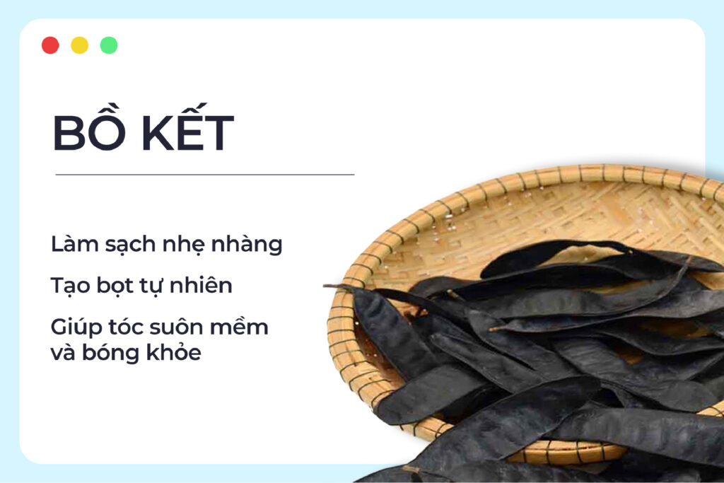 5 Lợi Ích Tuyệt Vời Từ Thảo Dược Việt Nam Giúp Tóc Khỏe – Da Đẹp Mỗi Ngày C