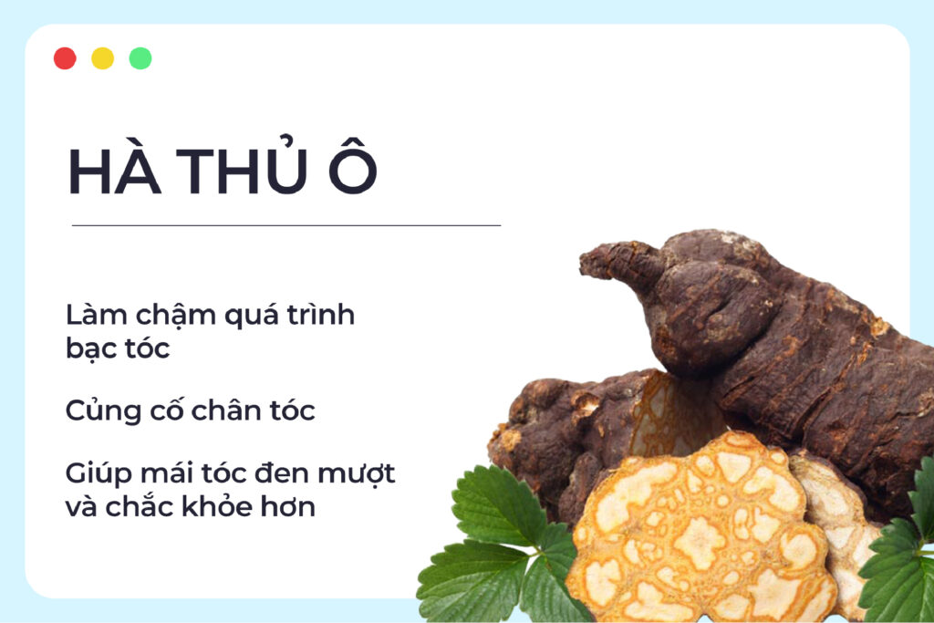5 Lợi Ích Tuyệt Vời Từ Thảo Dược Việt Nam Giúp Tóc Khỏe – Da Đẹp Mỗi Ngày E