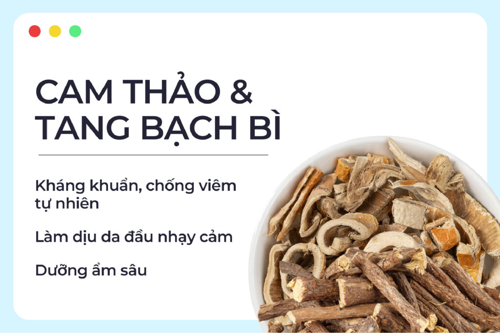 5 Lợi Ích Tuyệt Vời Từ Thảo Dược Việt Nam Giúp Tóc Khỏe – Da Đẹp Mỗi Ngày F