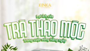 3 Loại Trà Thảo Mộc KINKA Giúp Nâng Cao Sức Khỏe Mỗi Ngày loi ich cua tra thao moc 01 1