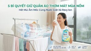 5 Bí Quyết Giữ Quần Áo Thơm Mát, Hết Mùi Ẩm Mốc Mùa Nồm Cùng Nước Giặt Xả Revy 1d620c90 cc6c 41de bbb1 f16c11c4bdf0