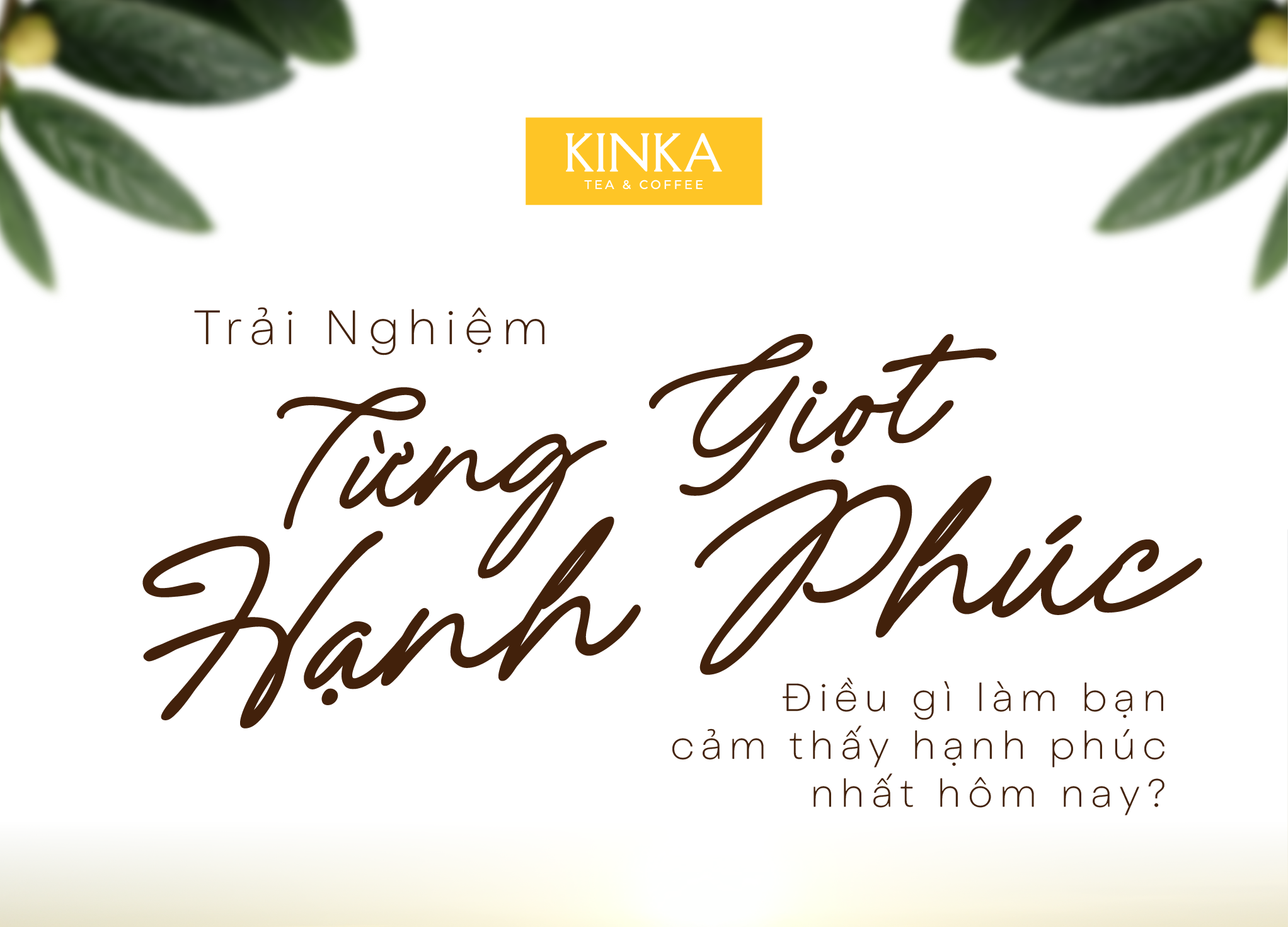 Hạnh Phúc Từ Tách Trà Hoa Vàng Thuần Khiết KINKA