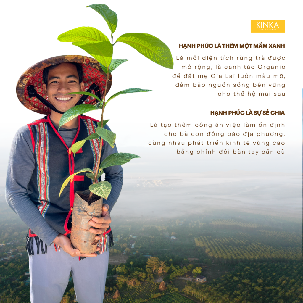 KINKA Hành Trình Lan Tỏa Sự Tử Tế: Hạnh Phúc Từ Tách Trà Hoa Vàng Thuần Khiết 2 TRA HOA VANG GIA LAI DONG BAO