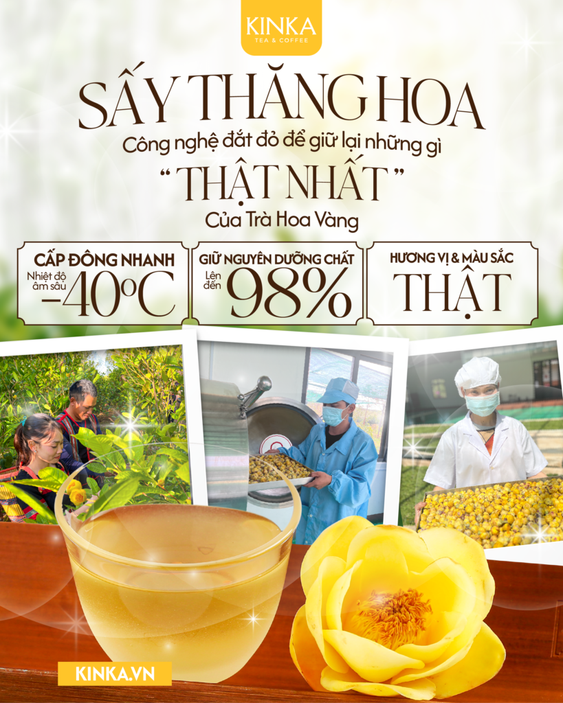 Trà Hoa Vàng Gia Lai KINKA: Công Dụng, Cách Dùng Và Nơi Mua Chính Hãng 4 Trà Hoa Vàng Gia Lai KINKA: Công Dụng, Cách Dùng Và Nơi Mua Chính Hãng 18 06 say thang hoa 01
