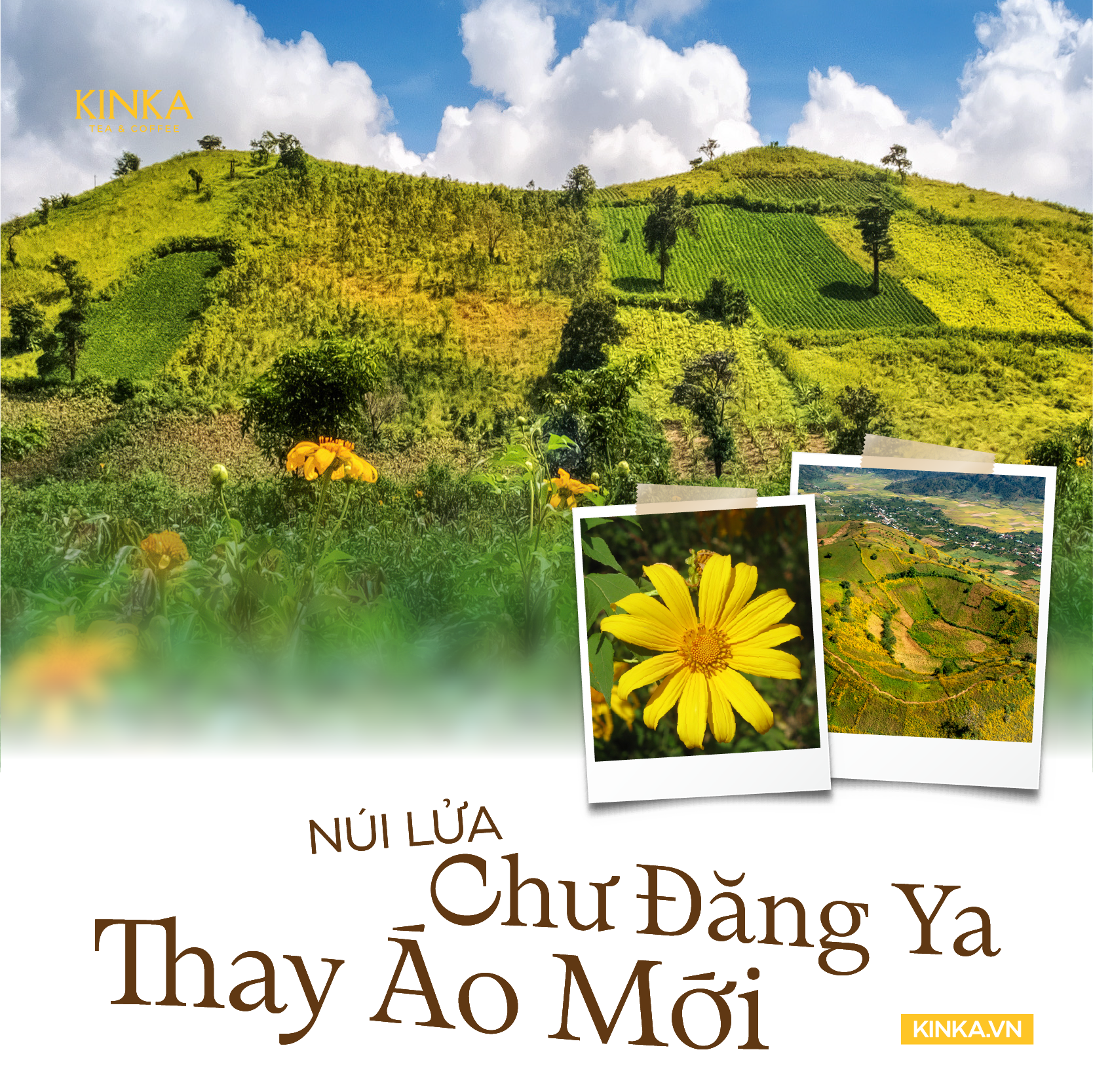 Vì Sao Chư Đăng Ya, Gia Lai Được Chọn Để Phát Triển Vùng Dược Liệu? 2 4 gia lai ddaij nganf 03