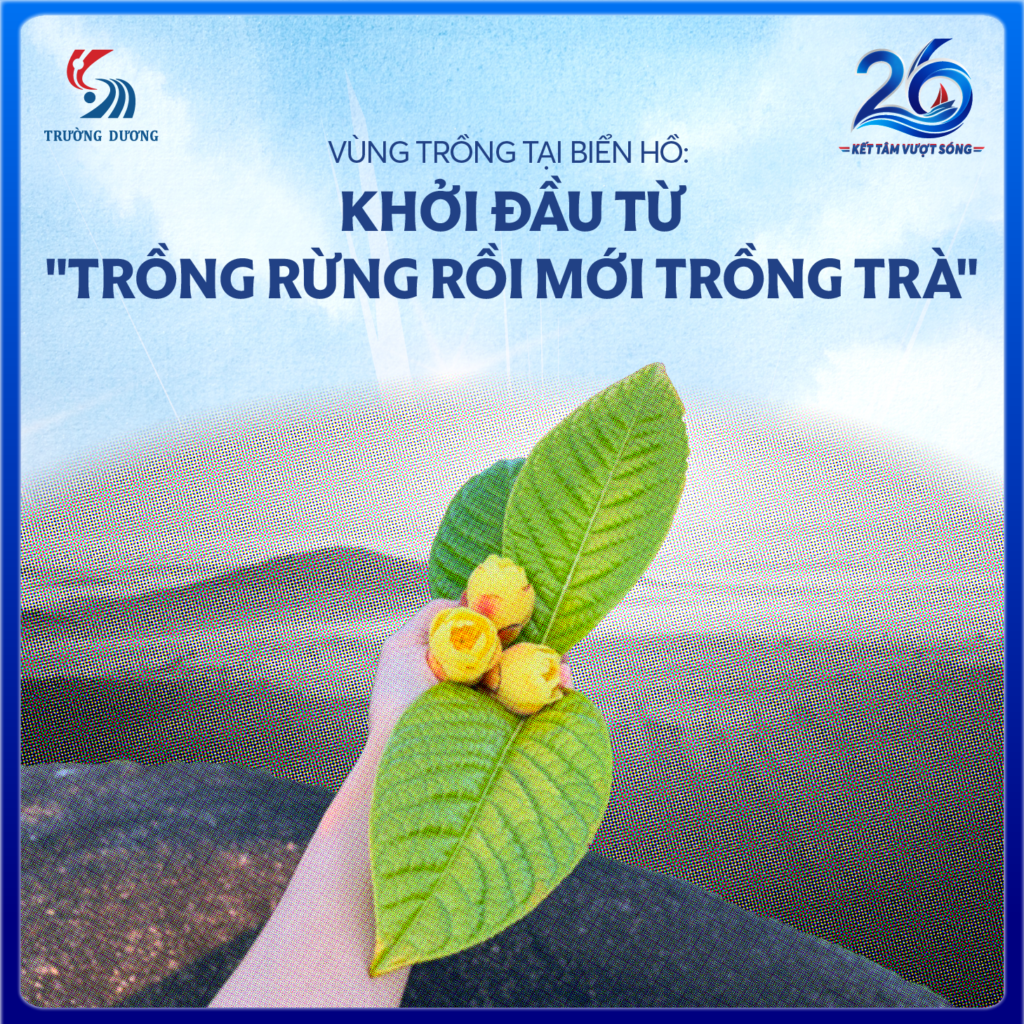 26 Năm Trường Dương - Hành Trình "Kết Tâm Vượt Sóng" (Tập 4) 2 26 Năm Trường Dương - Hành Trình "Kết Tâm Vượt Sóng" (Tập 4) 6 7 tapk 4 sinh nhat cty copy 02