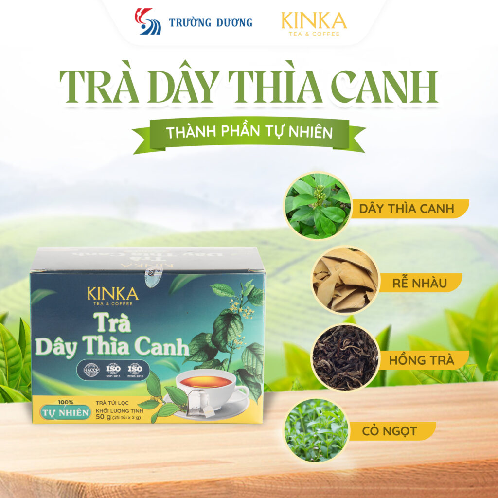 Golden Camellia Tea, Gymnema Sylvestre, or Diabetea? A Guide to Choosing What's Right for You 3 Golden Camellia Tea, Gymnema Sylvestre, or Diabetea? A Guide to Choosing What's Right for You 05 Tra Day Thia Canh KINKA Hinh 3